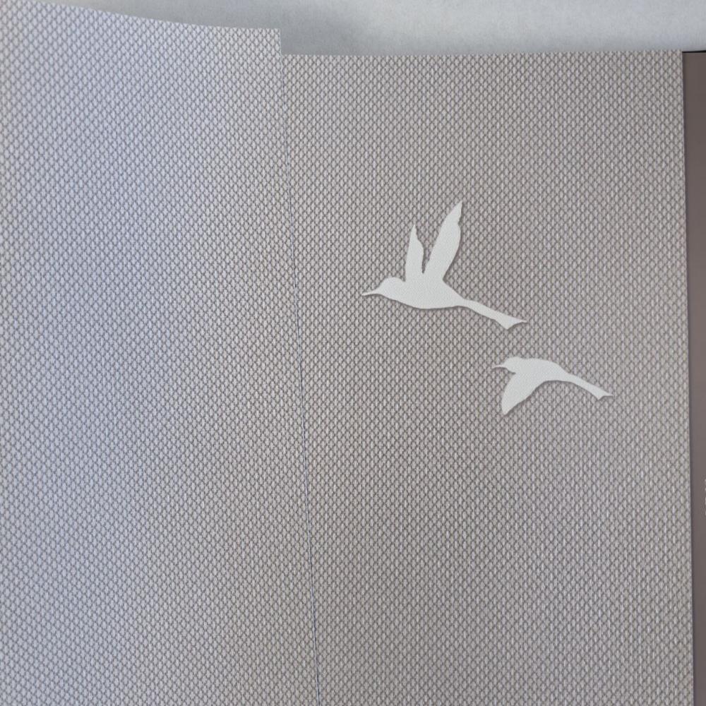 Andrea Rossi Spectrum Box 54458-11