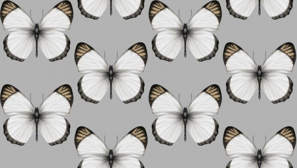 Andrea Rossi Cheradi 54401-6 Andrea Rossi Cheradi 54401-6