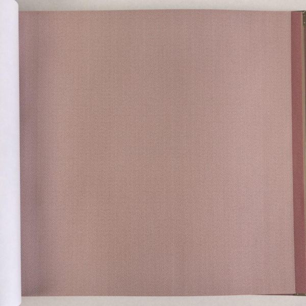 Alessandro Allori Bruni RBN 1002-20