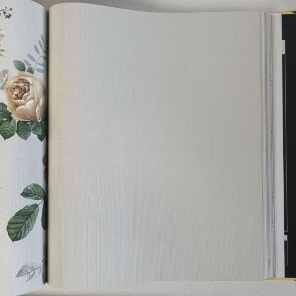 Andrea Rossi Cavolli 54420-9