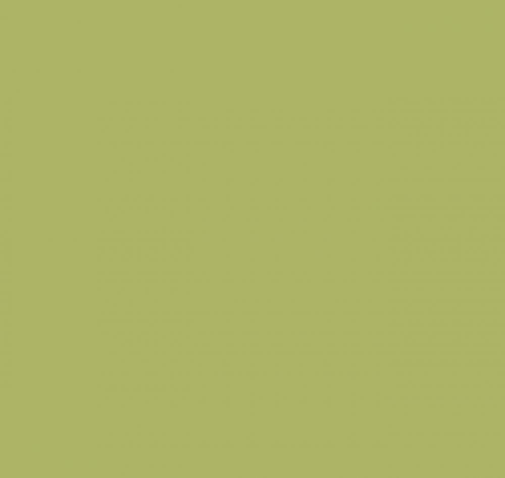 Milassa Ambient AM4 105/2