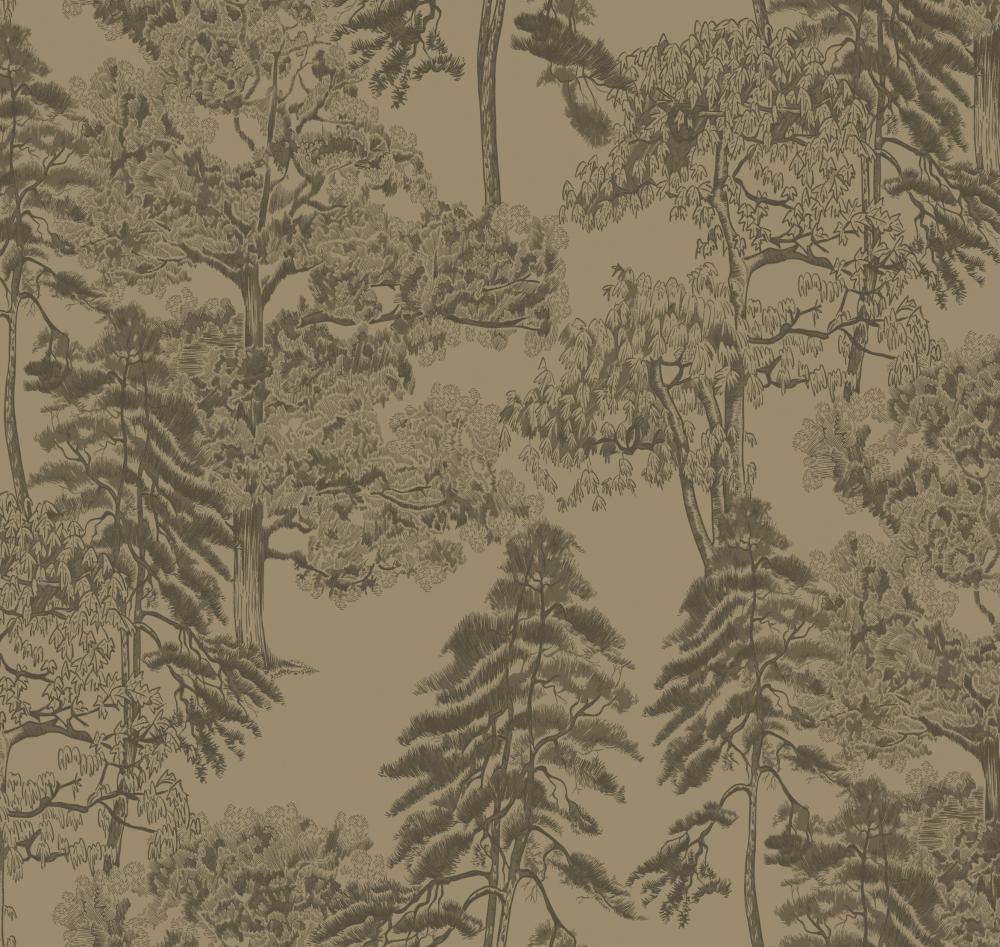 Milassa Ambient AM5 005/1 Milassa Ambient AM5 005/1